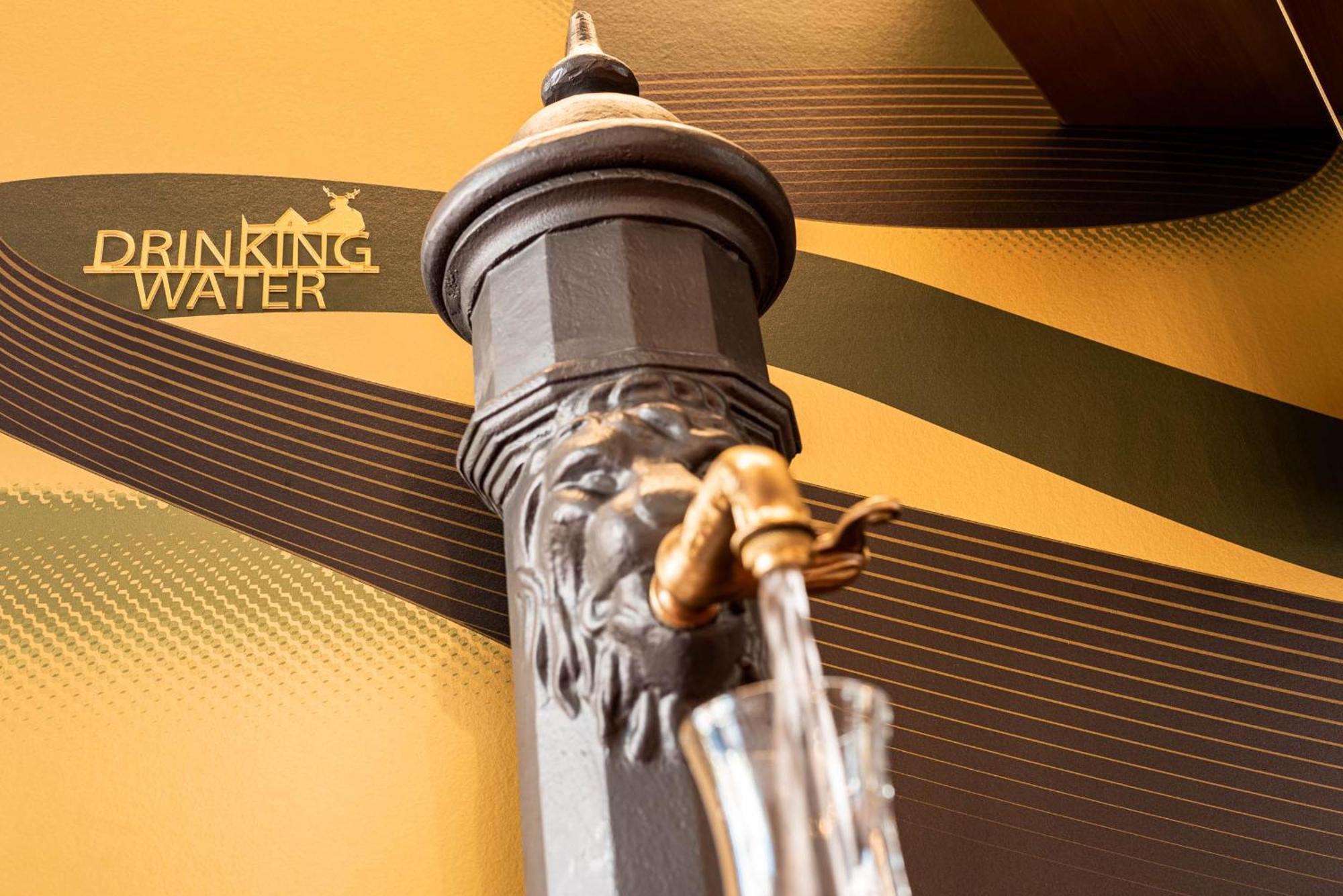 Hirschen Oberkirch - Design Boutique Hotel Εξωτερικό φωτογραφία